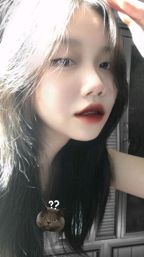 6080yy理论片在线播放原著